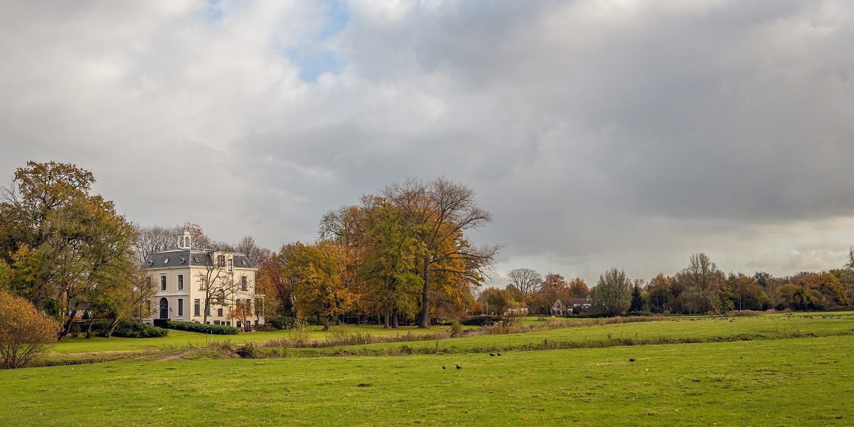 Hoe staat het met het vermogen van Nederlandse familiestichtingen